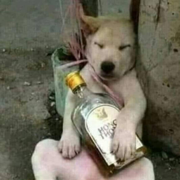 Meet your Posher, Dan - Picture 1 of 1